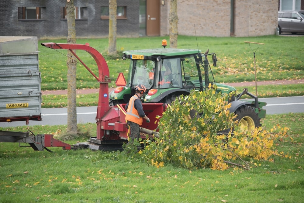 Élaguer le tronc de l'arbre 