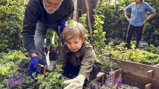 entretenir son jardin