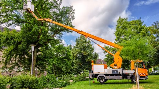 abattre un arbre de jardin sans danger